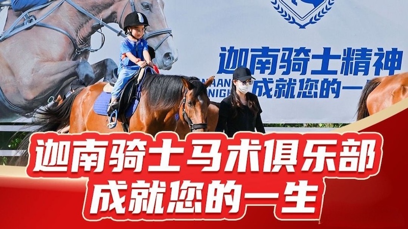 迦南骑士马术俱乐部-马匹摄影租赁(一小时)-员岗村鹏程围A12(官堂镇东路北)